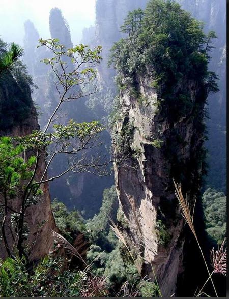 長沙出發(fā)到張家界溶洞奇觀黃龍洞、國家森林公園、袁家界、峰林之王天子山三日游（早班）